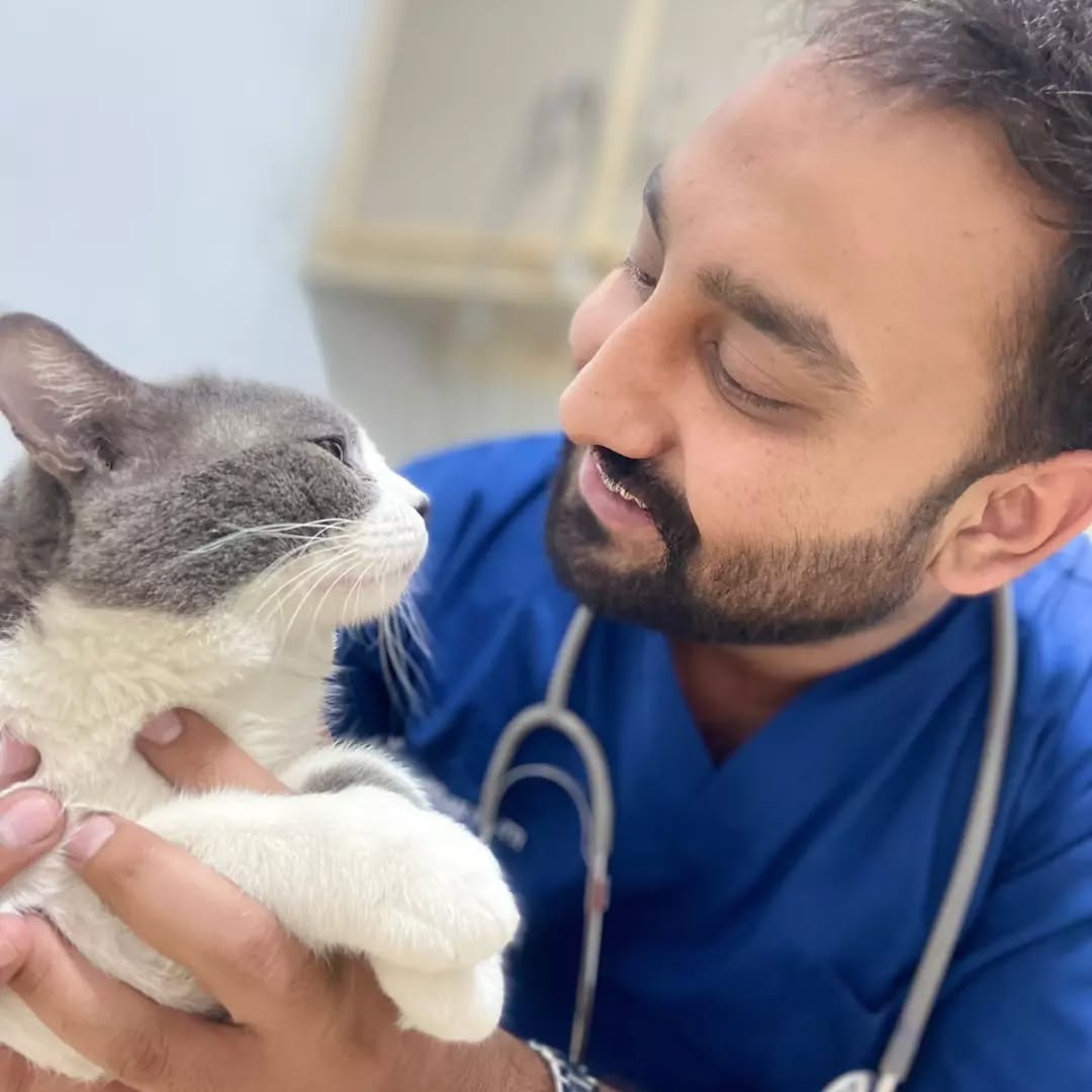Pet care services